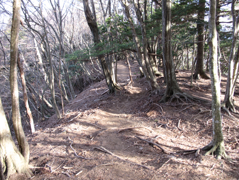 20190108hike (419)